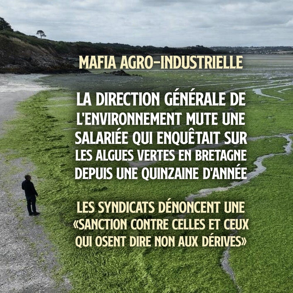 Une plage bretonne recouverte d
