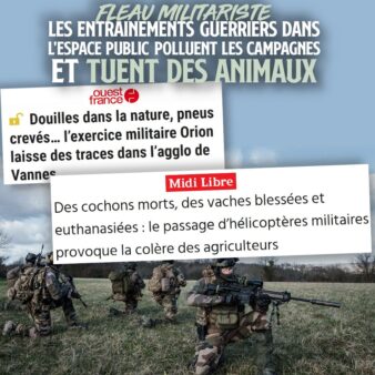 Des militaires réalisant des exercices avec des fusils d
