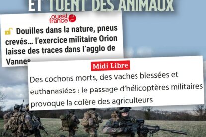 Des militaires réalisant des exercices avec des fusils d