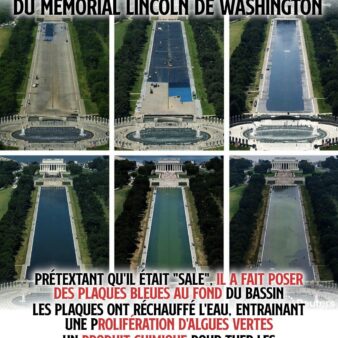 Les différentes étapes du désastre après que Donald Trump ait fait "rénover" le bassin du Lincoln Memorial