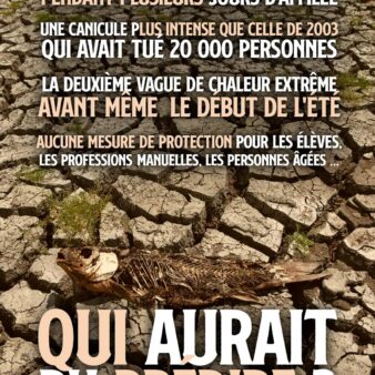 Un poisson mort sur un sol écaillé par la sécheresse : qui aurait pu prédire la succession des canicules ?