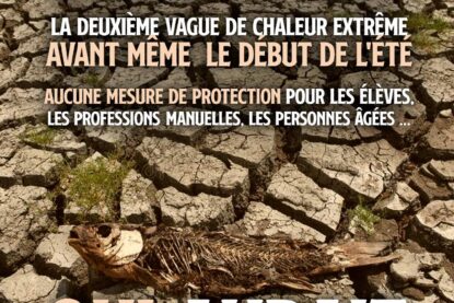 Un poisson mort sur un sol écaillé par la sécheresse : qui aurait pu prédire la succession des canicules ?