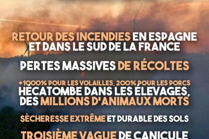Des incendies en cascade : la troisième canicule de l