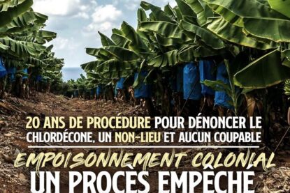 Une bananeraie dans les Antilles, dont la terre est probablement gavée de chlordécone
