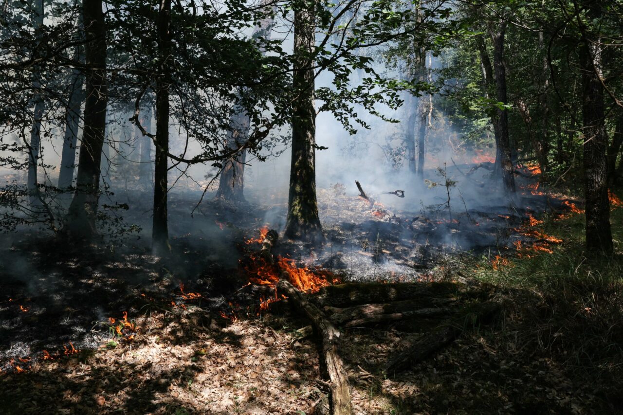 Fontainebleau