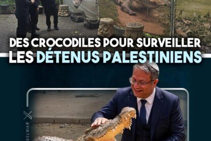 En Israël comme au États-Unis, des crocodiles pour intimider et déshumaniser les prisonniers, qu