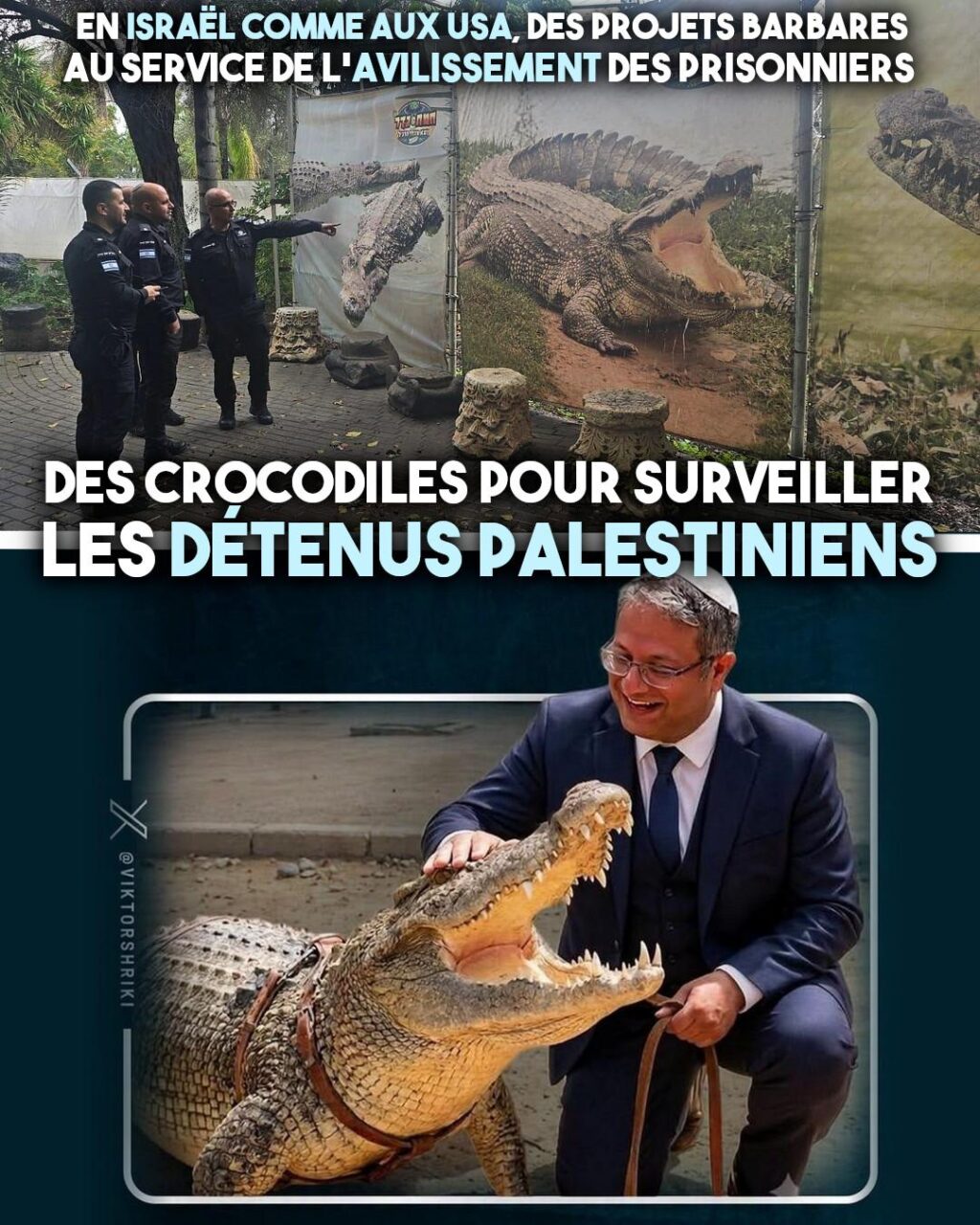 En Israël comme au États-Unis, des crocodiles pour intimider et déshumaniser les prisonniers, qu