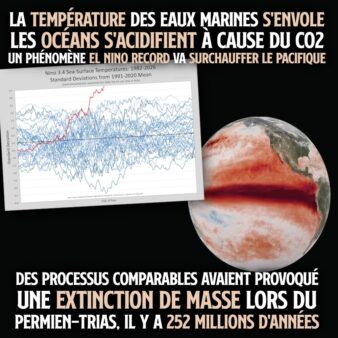 Un graphique et une carte montrent l