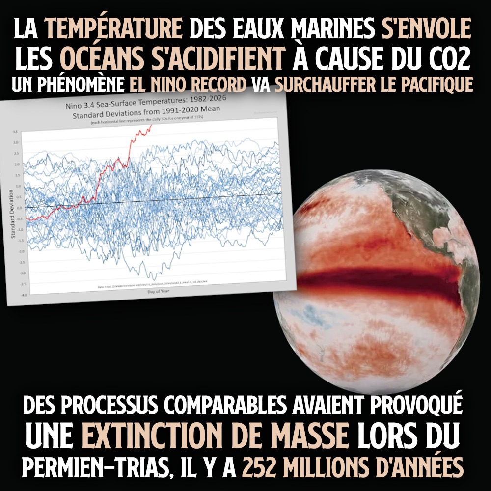 Un graphique et une carte montrent l