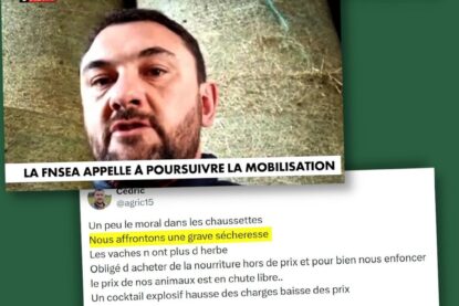 Cédric Viallemonteil, l