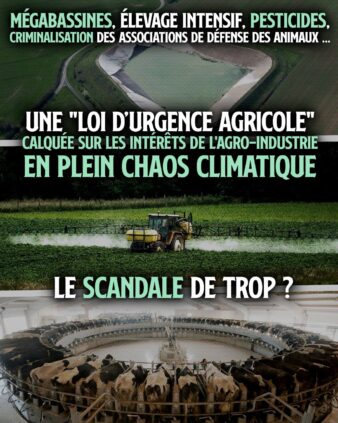 Une mégabassine, un tracteur qui épand des pesticides sur un champ et des vaches alignées sur une trayeuse : autant d