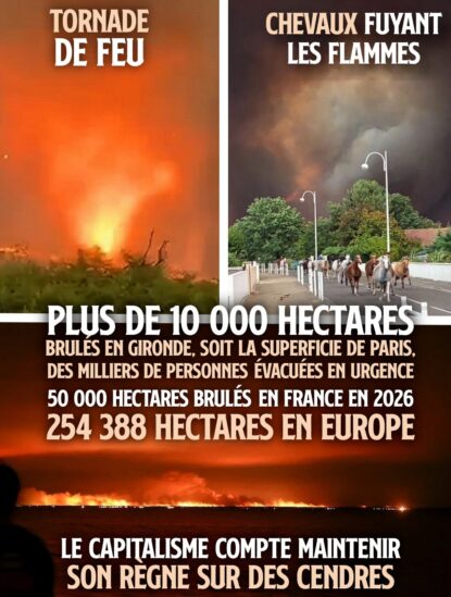 Une tornade de feu et des chevaux paniqués, deux images des incendies qui ravagent la France après la canicule