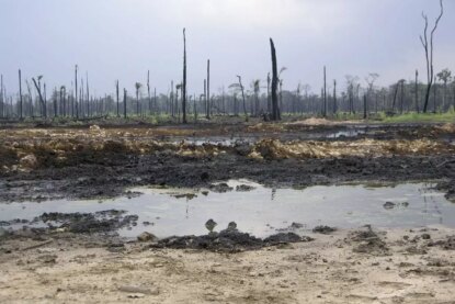 Paysage avec des arbres morts en arrière plan et en premier plan une zone desséchée et polluée par du pétrole