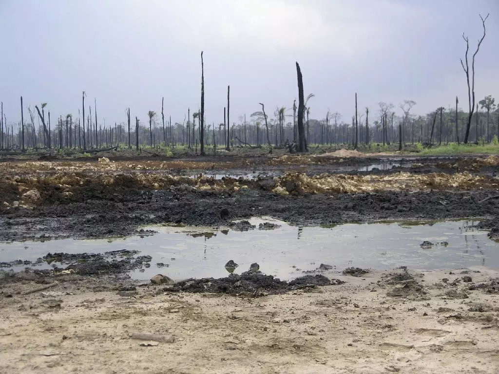 Paysage avec des arbres morts en arrière plan et en premier plan une zone desséchée et polluée par du pétrole