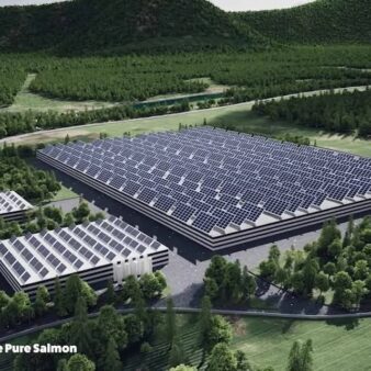 Capture d'écran d'un projet de mégaferme de saumon par PureSalmon, entreprise à l'origine du projet en Gironde.