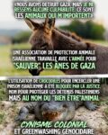 En haut un âne, en bas un crocodile : les droits des animaux préoccupent d