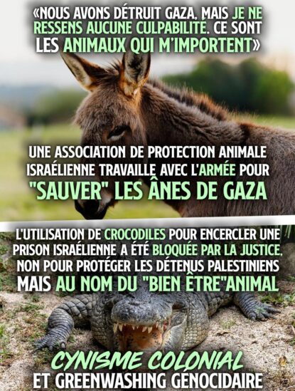 En haut un âne, en bas un crocodile : les droits des animaux préoccupent d
