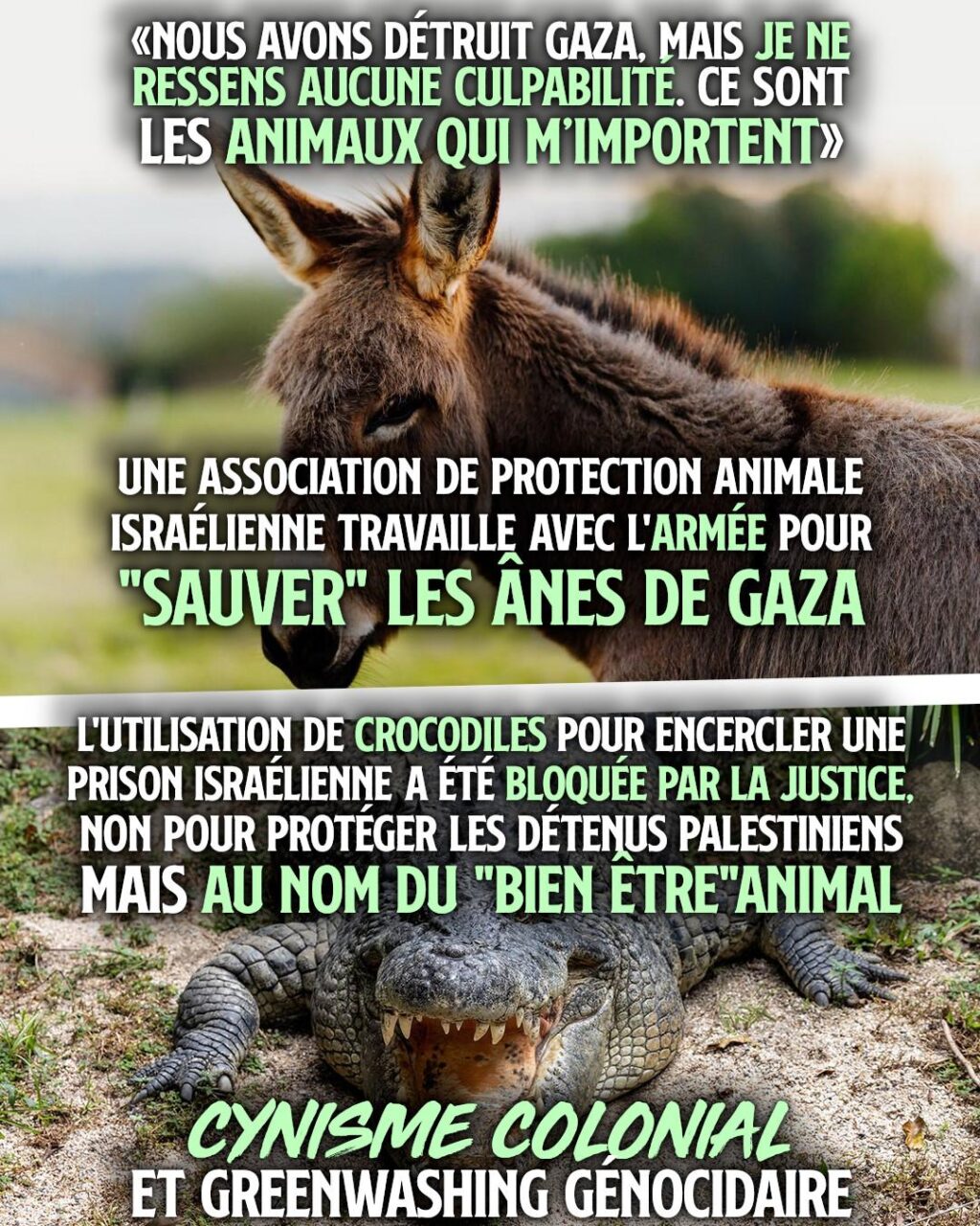 En haut un âne, en bas un crocodile : les droits des animaux préoccupent d