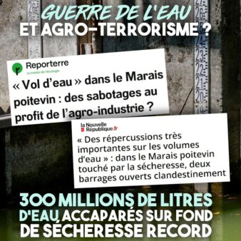 Le niveau d