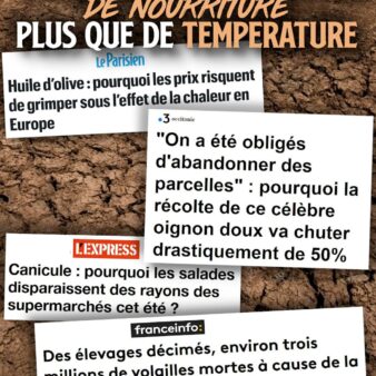 Une terre sèche comme de la pierre : la crise climatique met la nourriture en tension.