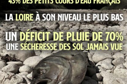Un poisson mort dans le lit d