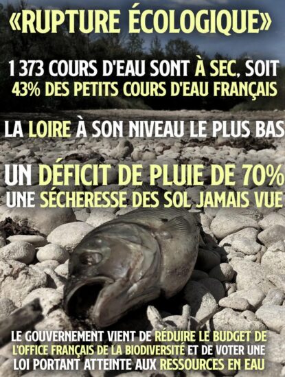 Un poisson mort dans le lit d
